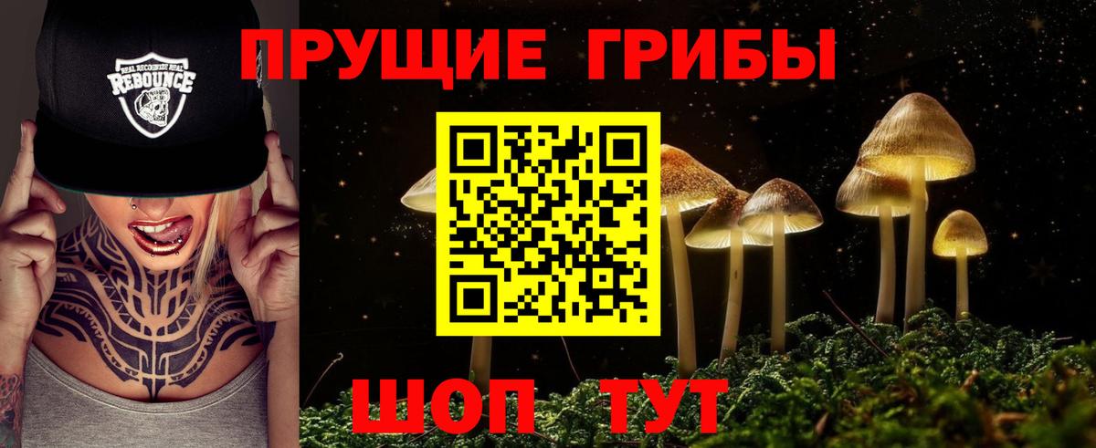 Волгодонск  Псилоцибиновые грибы ЛСД  Вход с VPN  Галлюциногенные грибы ЛСД 